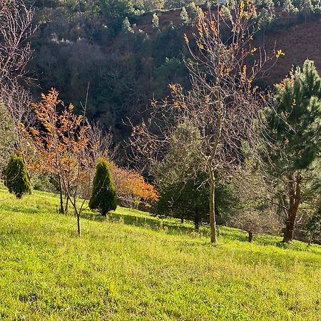 Finca Portizuelo Luarca Bagian luar foto