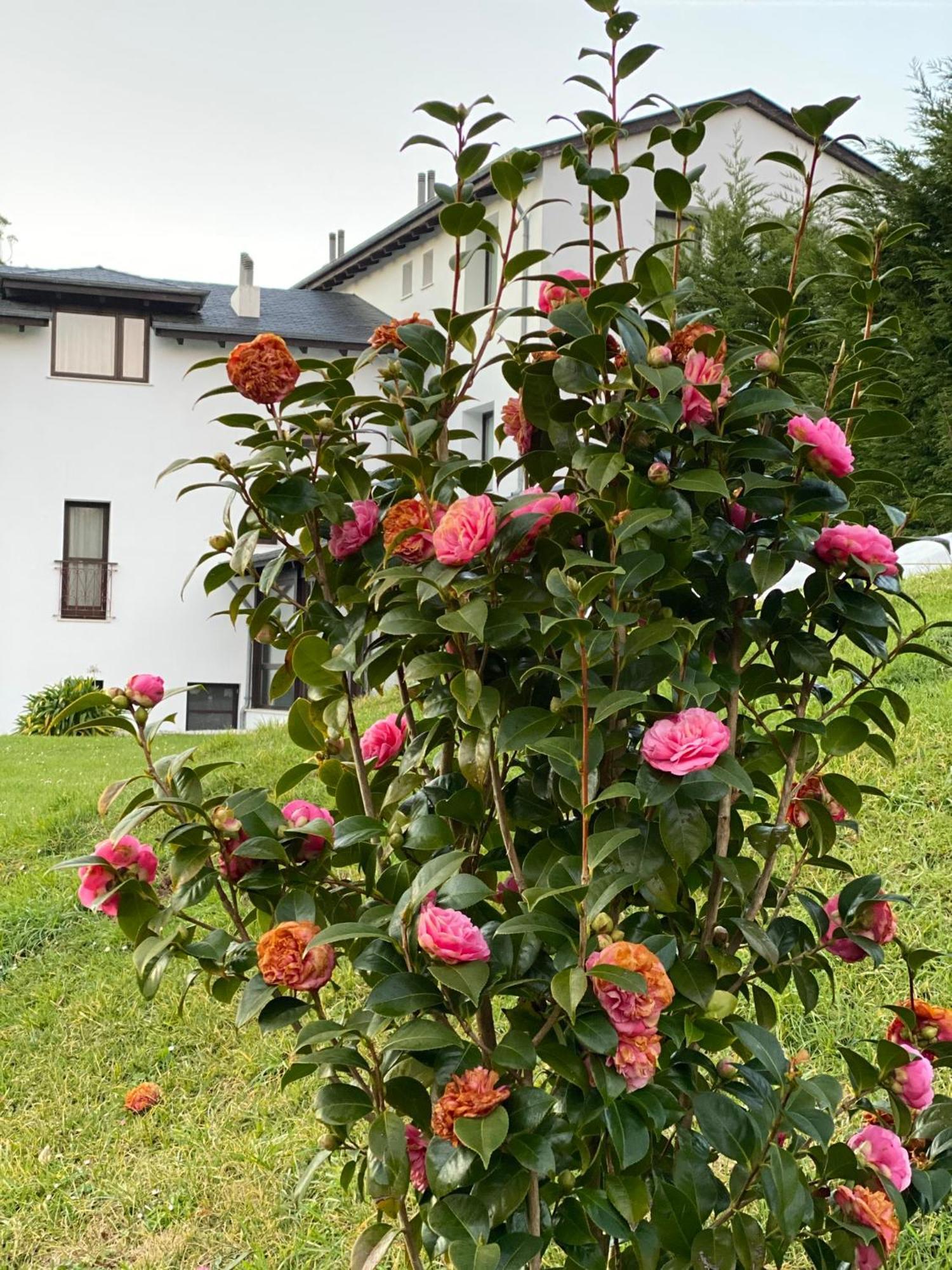 Finca Portizuelo Luarca Bagian luar foto
