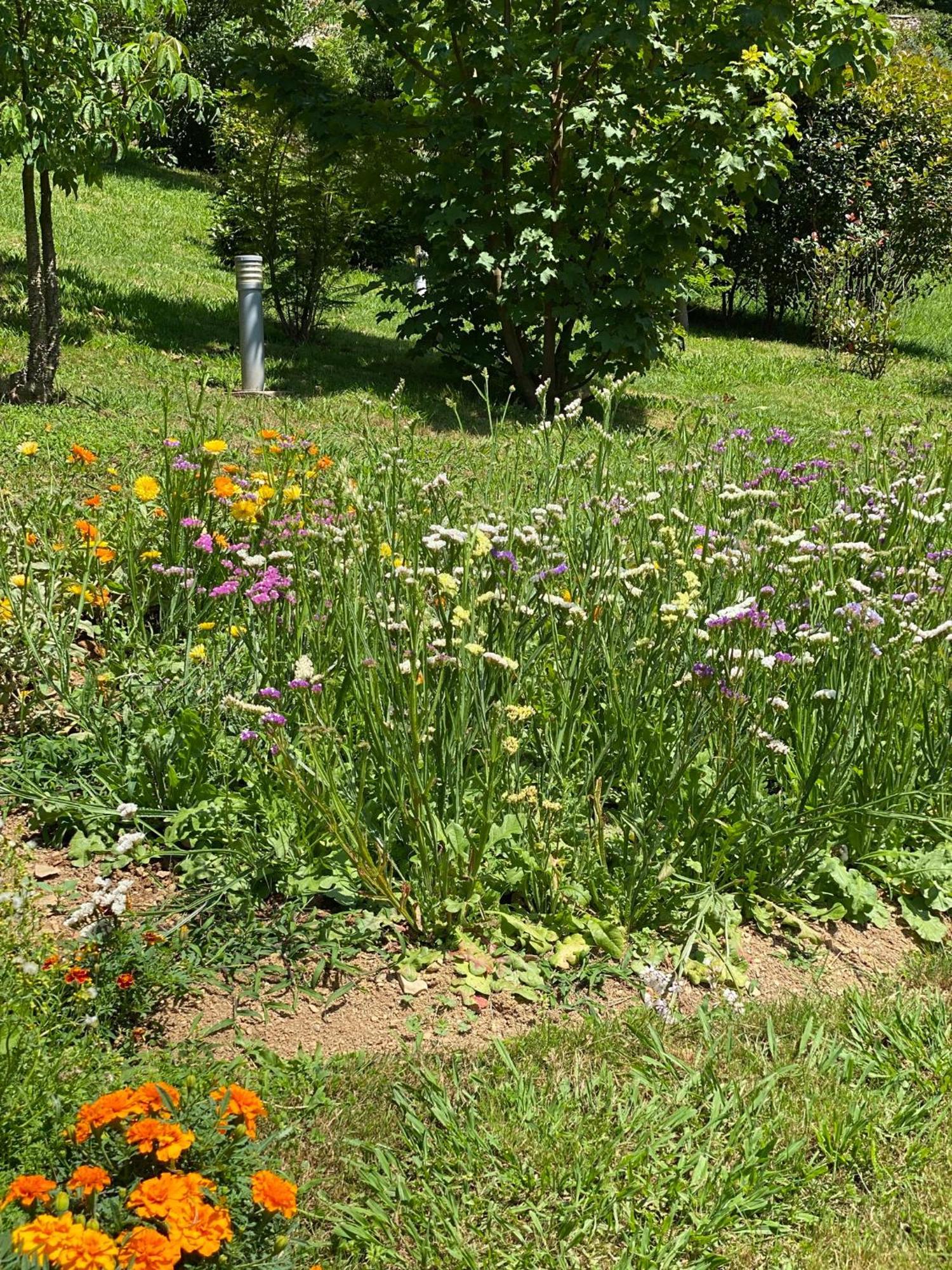 Finca Portizuelo Luarca Bagian luar foto