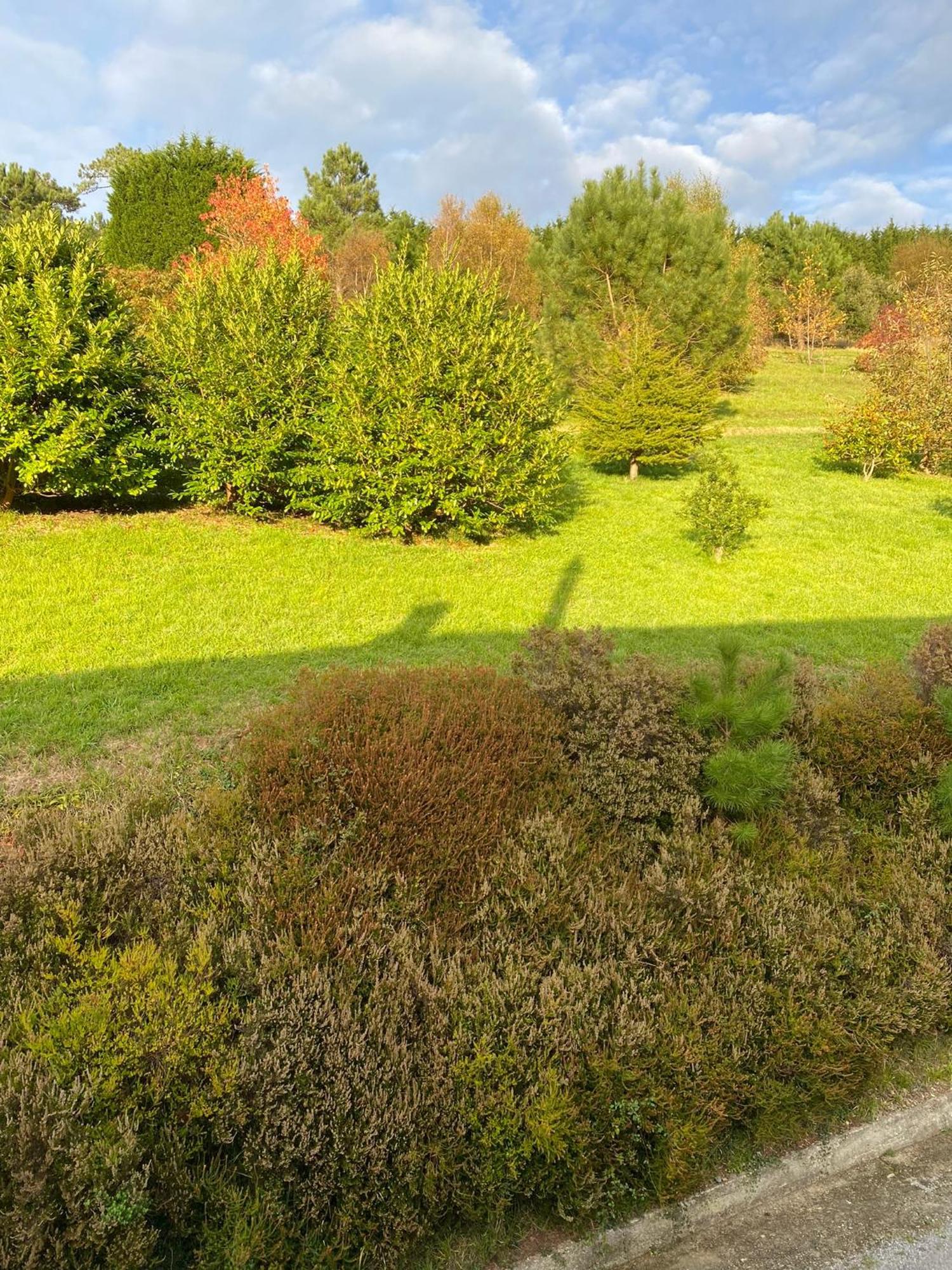 Finca Portizuelo Luarca Bagian luar foto