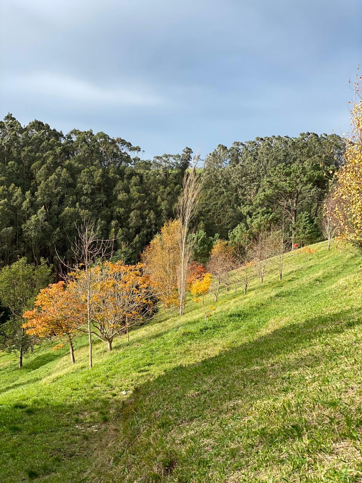 Finca Portizuelo Luarca Bagian luar foto