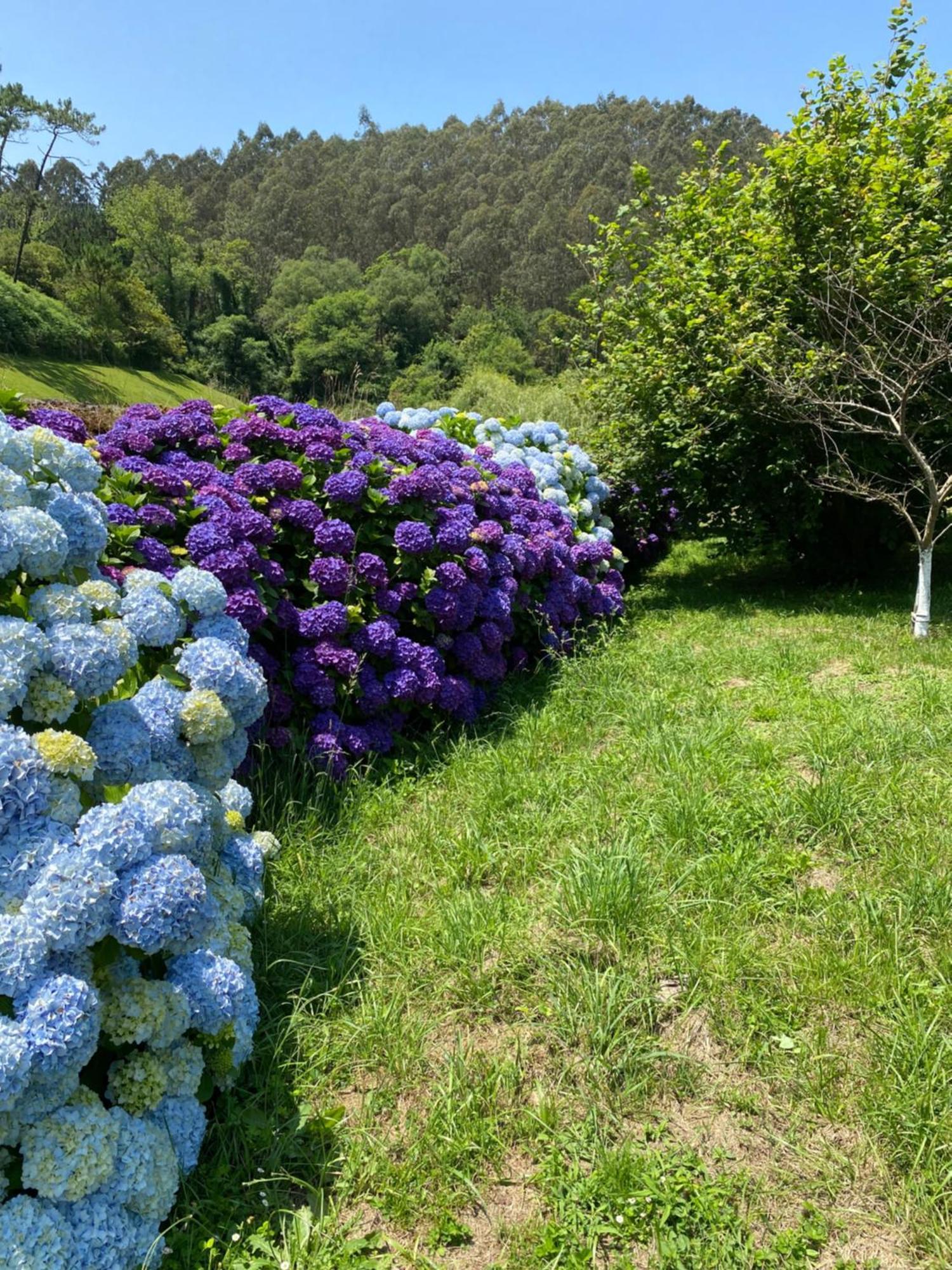 Finca Portizuelo Luarca Bagian luar foto