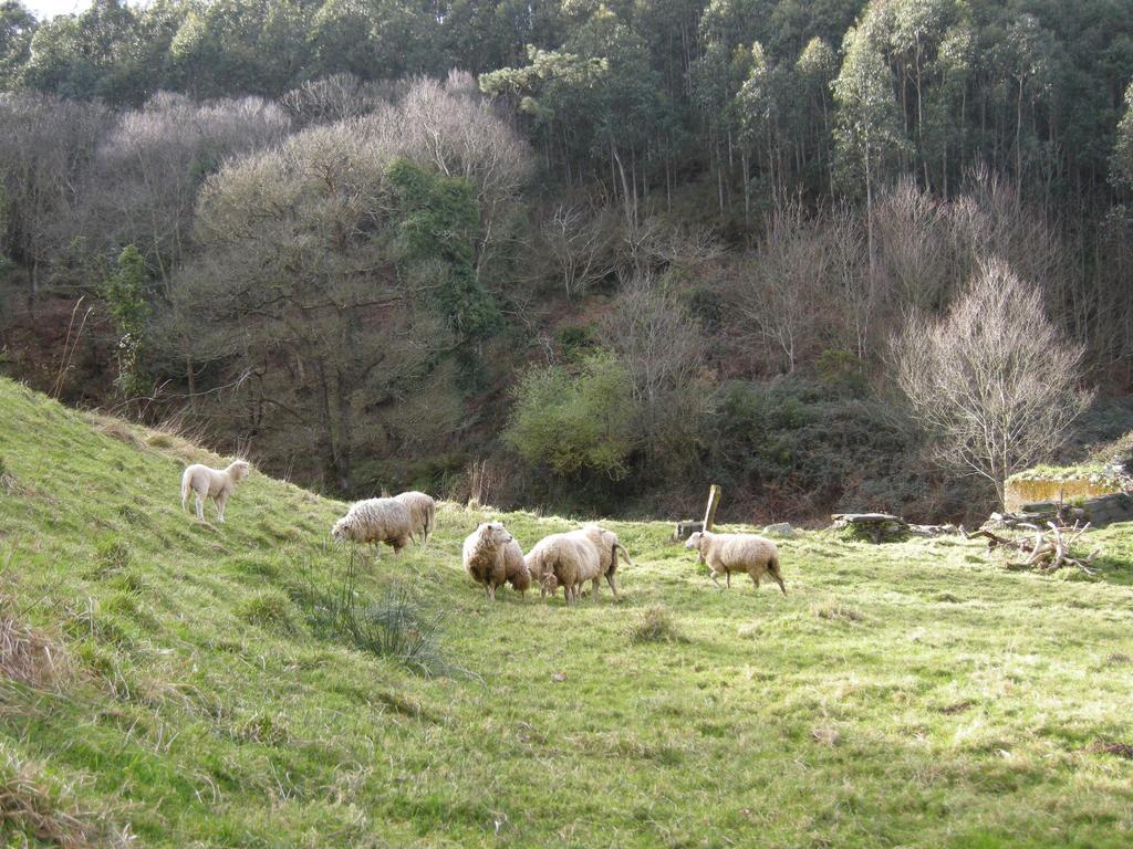 Finca Portizuelo Luarca Bagian luar foto