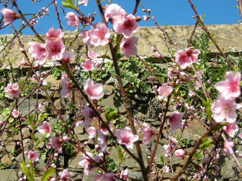Finca Portizuelo Luarca Bagian luar foto