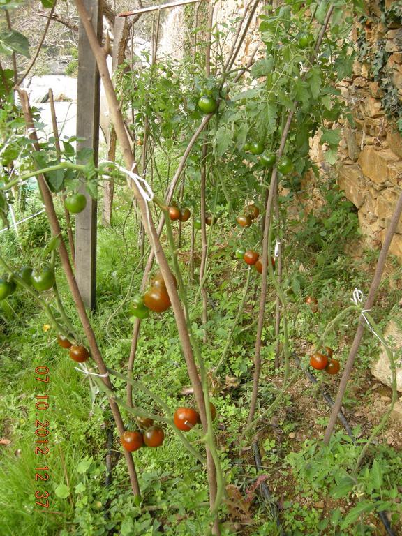 Finca Portizuelo Luarca Bagian luar foto