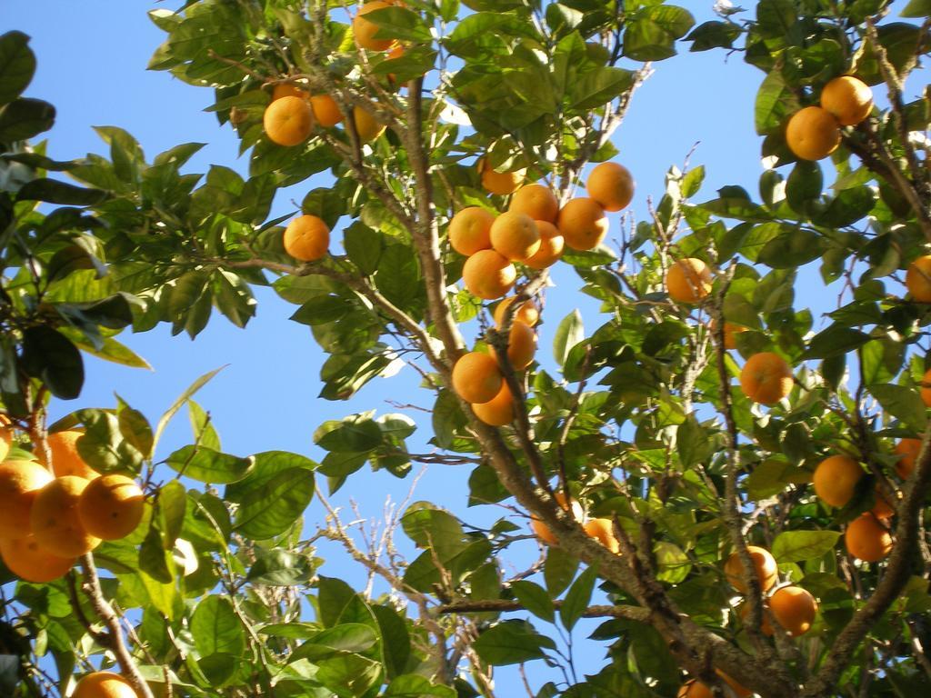 Finca Portizuelo Luarca Bagian luar foto